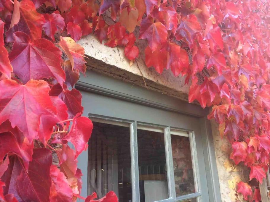 Blacksmith'S Barn - Cosy, Chilled & Dog Friendly. Wykeham  Bagian luar foto